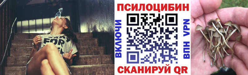 Галлюциногенные грибы мухоморы  Омутнинск 
